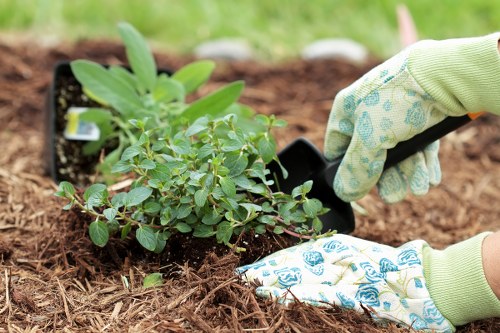 Gardener preparing garden beds in a suburban Pinner garden
