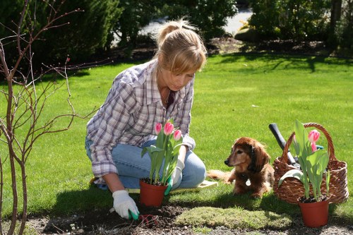 Professional landscaper maintaining a lush green lawn in Pinner