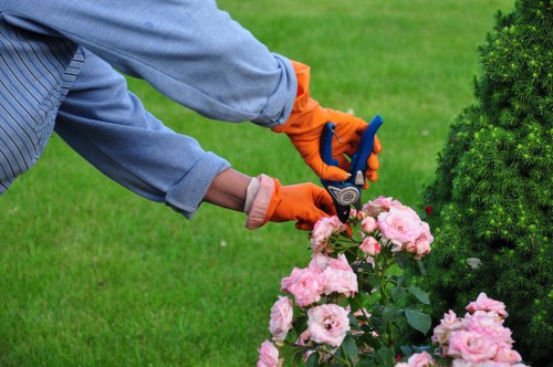 Inspection and maintenance of gardening equipment