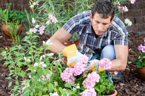 Technician assessing a garden area for safety